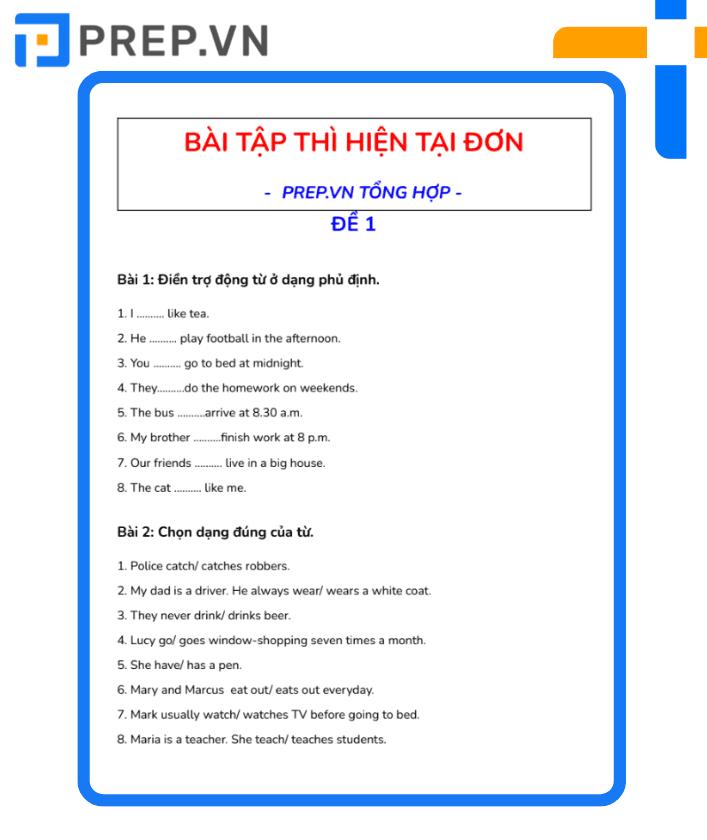 Download 100+ bài tập thì hiện tại đơn tiếng Anh PDF cơ bản & nâng cao