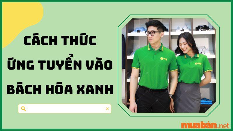 Cách thức ứng tuyển vào Bách Hóa Xanh