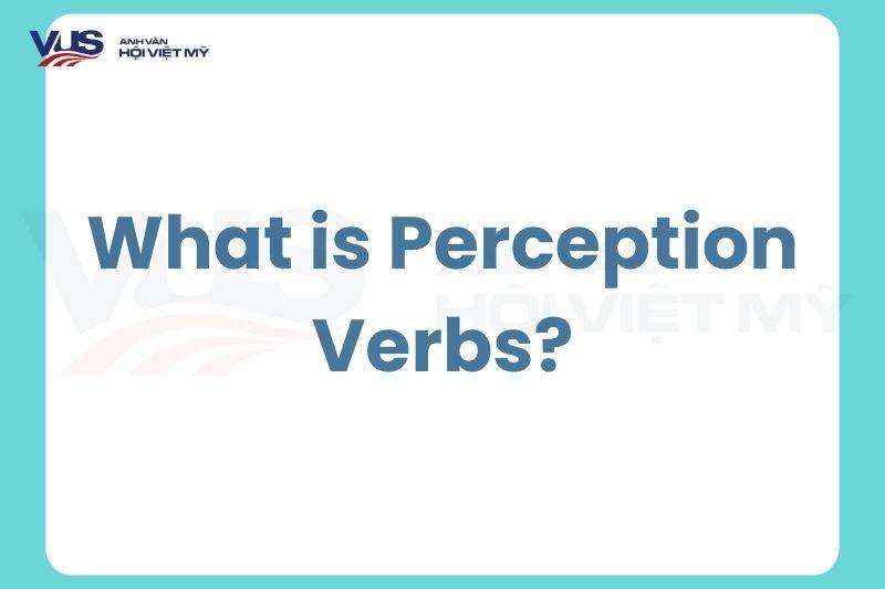 Động từ tri giác (Perception Verbs): Cấu trúc và cách sử dụng