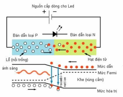 Phương pháp học lý 11