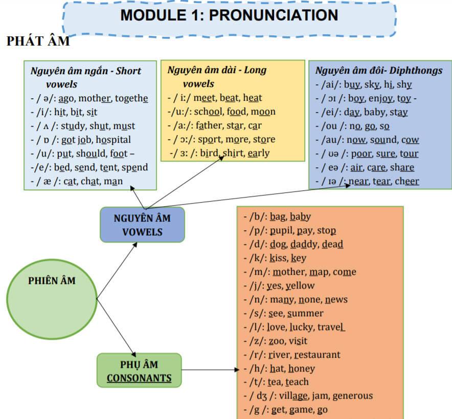 Module 1: Phát âm