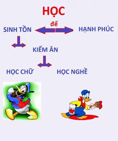 Học để làm gì, học gì và học như thế nào?