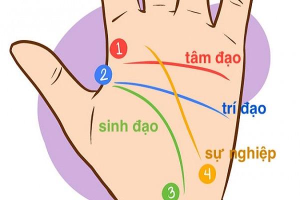 Nguồn gốc và ý nghĩa 81 số căn bản của đời người