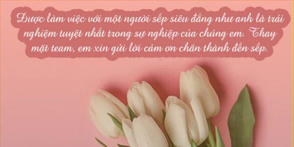 Dành lời cảm ơn khi nghỉ việc cũng thể hiện bản thân