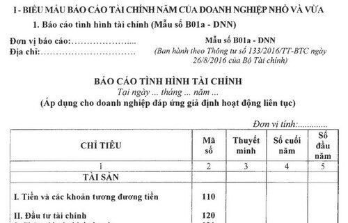 Biểu mẫu báo cáo tài chính theo thông tư 133