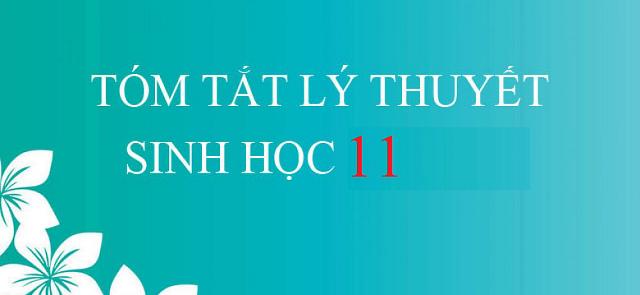 Tổng hợp lý thuyết Sinh học 11 đầy đủ và dễ nhớ để thi THPT QG