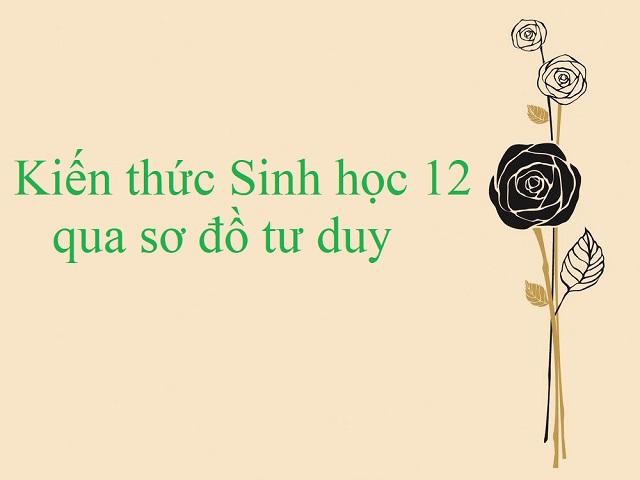 15 Sơ đồ tư duy môn Sinh học 12 - bí quyết