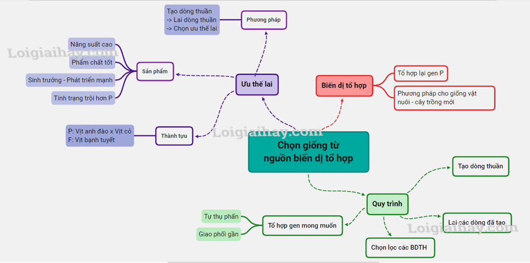 Chọn giống vật nuôi và cây trồng dựa trên nguồn biến dị tổ hợp Sinh học 12