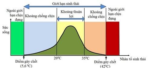 Sơ đồ tổng quát mô tả giới hạn sinh thái của sinh vật