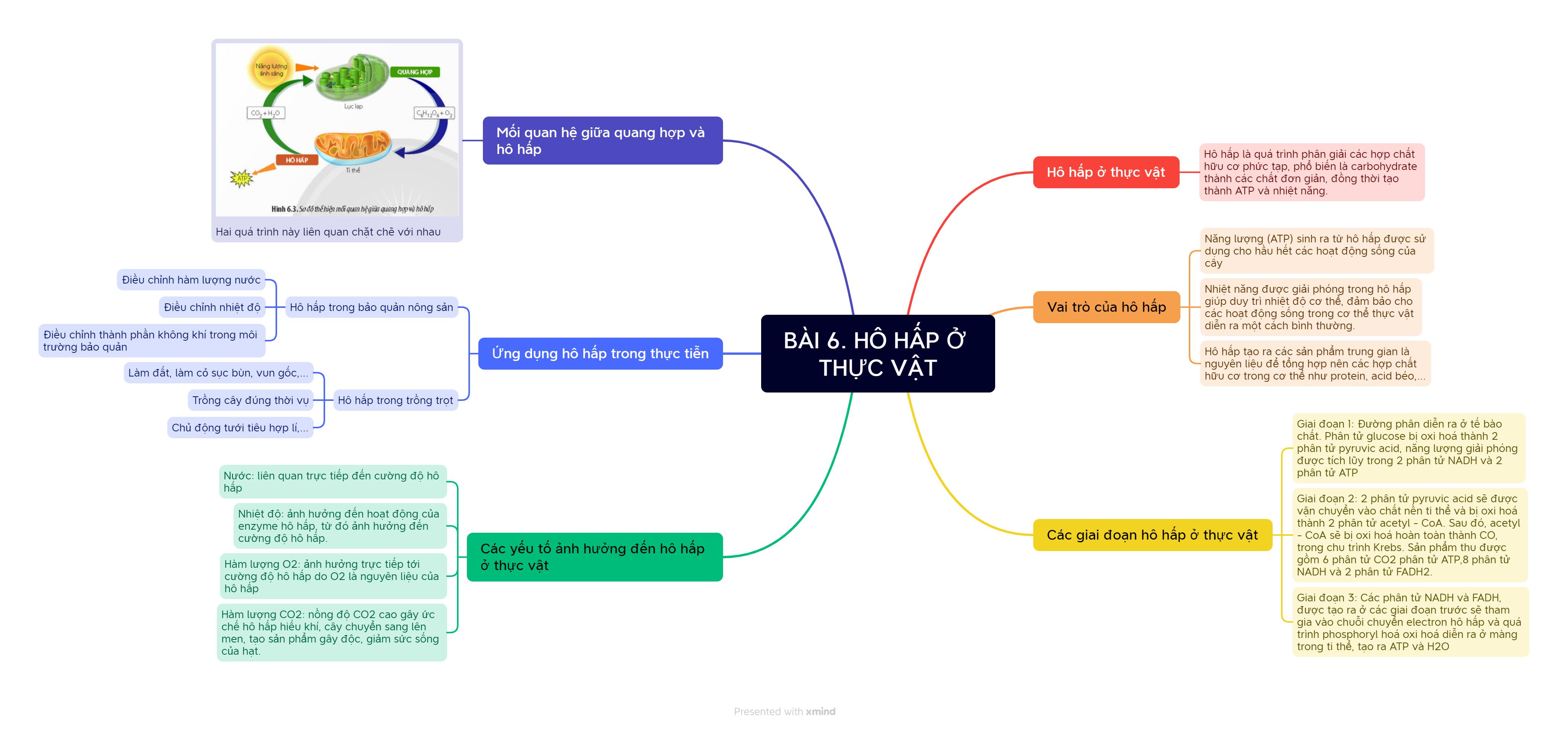 Sơ đồ tư duy Bài 6: Hô hấp ở thực vật