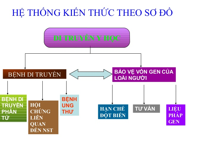 Sơ đồ tư duy Di truyền y học