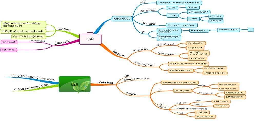 Sơ đồ tư duy Este lớp 12  Sơ đồ tư duy Hóa 12