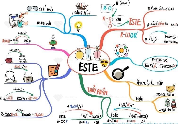 Sơ đồ tư duy Este ngắn gọn