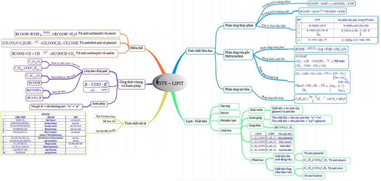 Sơ đồ tư duy Este hay nhất