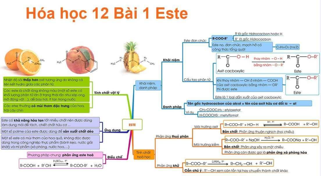 Sơ đồ tư duy Este hay nhất