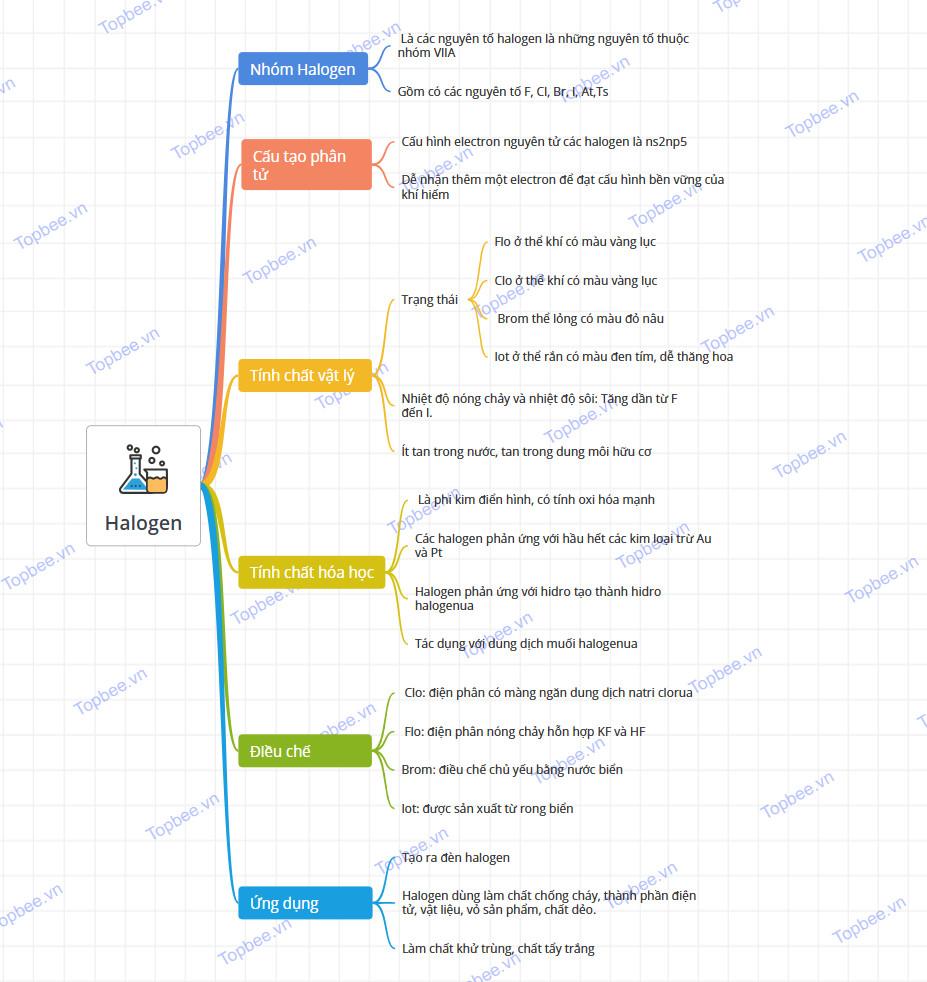 Sơ đồ tư duy halogen