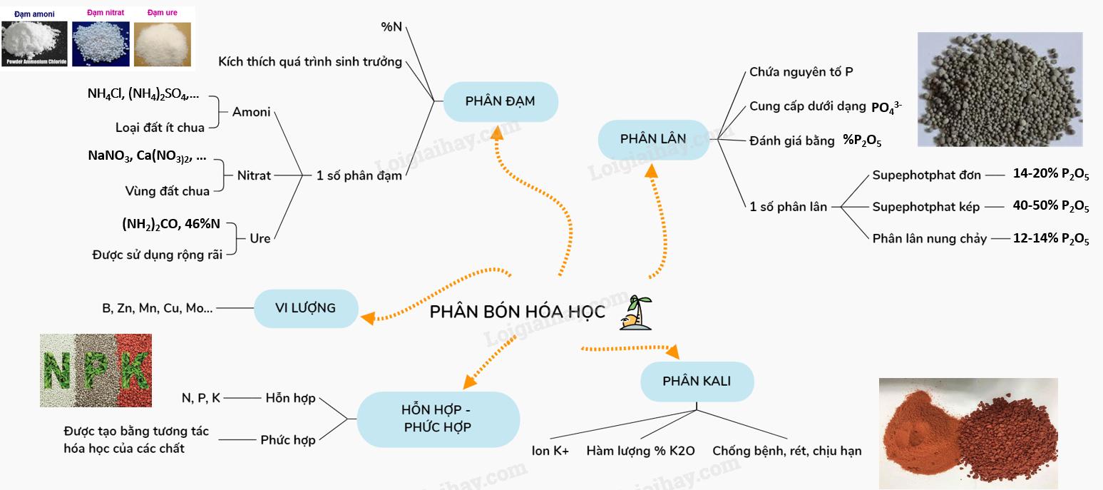 Sơ đồ tư duy: Phân bón hóa học