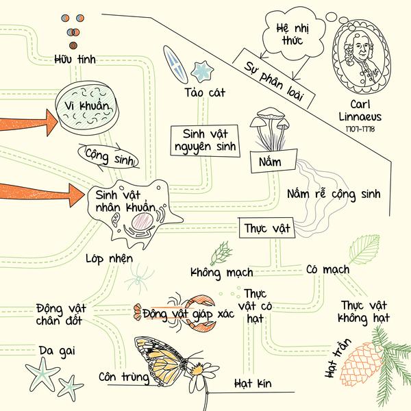 MIND MAPS BIOLOGY - SƠ ĐỒ TƯ DUY SINH HỌC