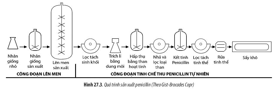 Quy trình sản xuất chất kháng sinh