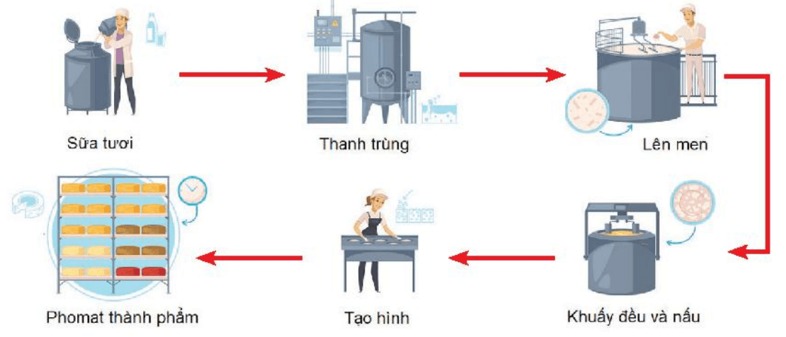 Quy trình sản xuất phomat