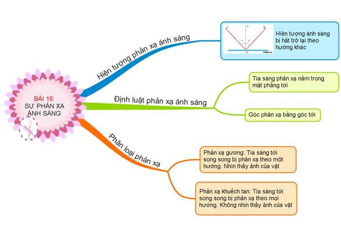 Sơ đồ tư duy Khoa học tự nhiên 7 - Bài 17