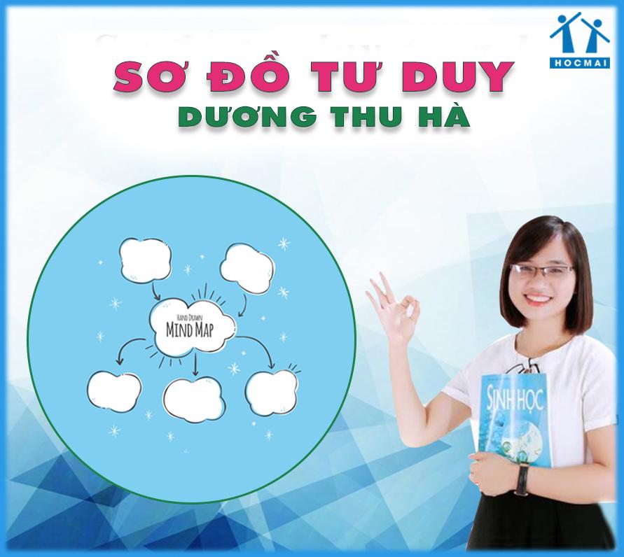 Cô Dương Thu Hà hướng dẫn làm sơ đồ tư duy môn sinh học lớp 9