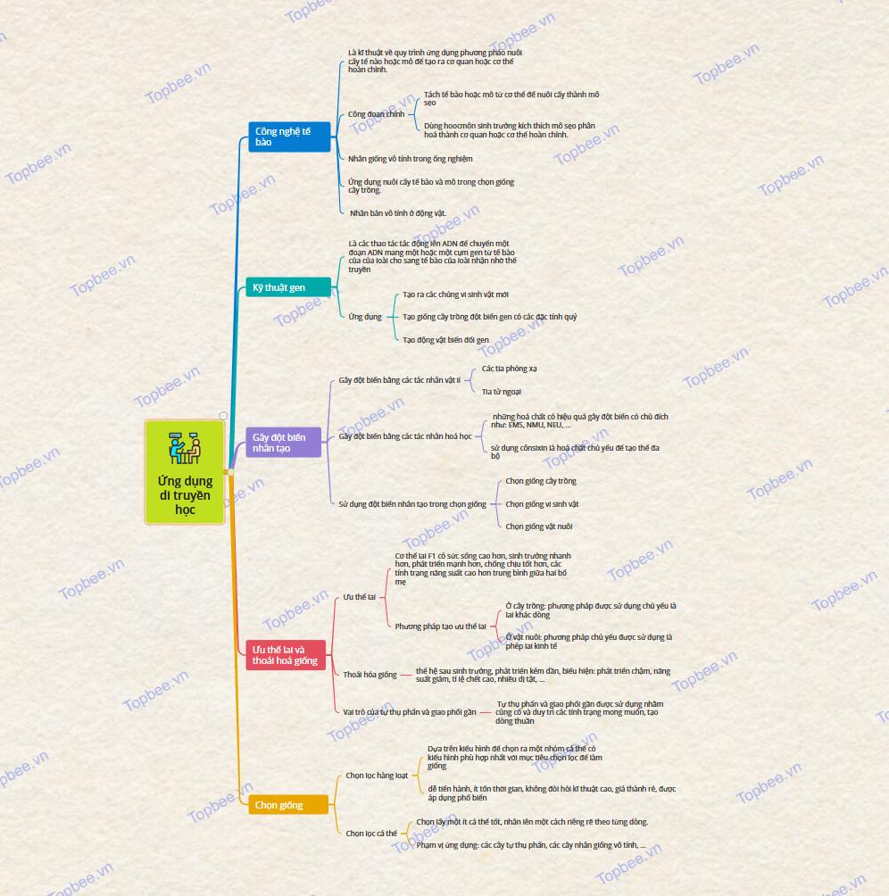 Sơ đồ tư duy ứng dụng di truyền học