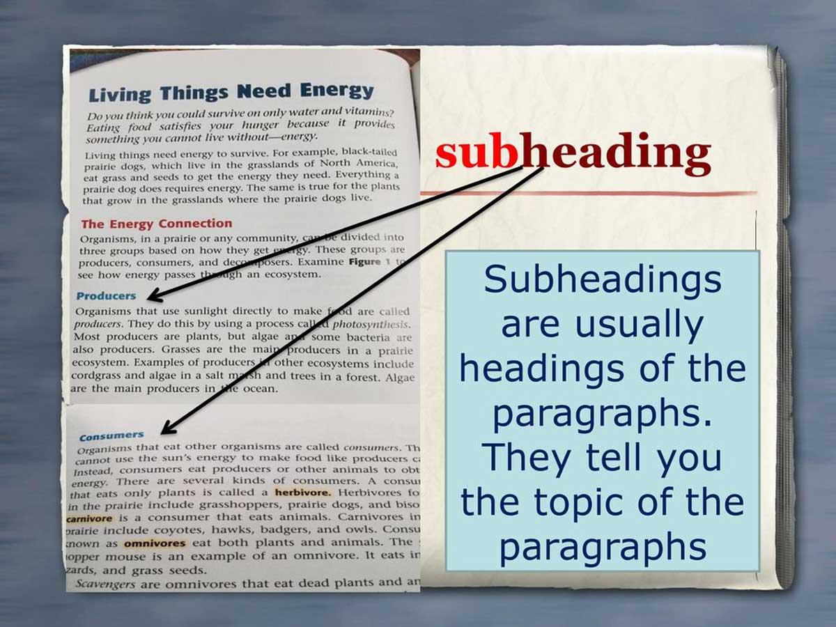 Subheading là gì? Tầm quan trọng của Subheading trong SEO