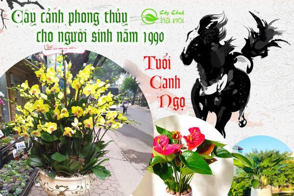 Tuổi Canh Ngọ sinh năm 1990 hợp cây cảnh gì?