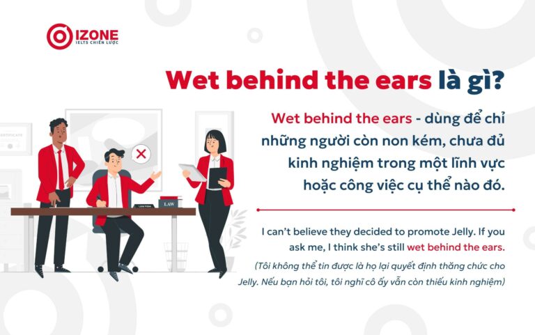 Thành ngữ “Wet behind the ears” và cách ứng dụng hiệu quả vào bài thi IELTS Speaking