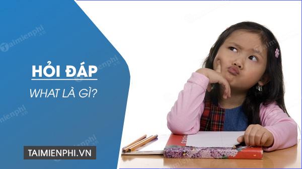 What là gì? Ý nghĩa của What trong tiếng Anh và tiếng Việt