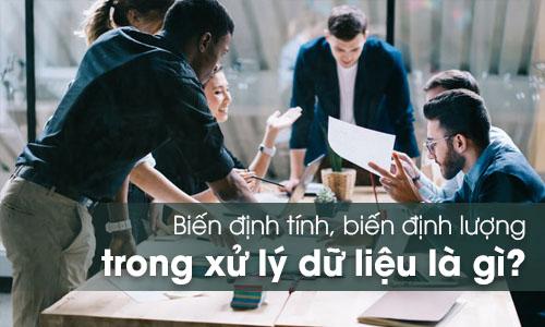 Biến định tính, biến định lượng trong xử lý dữ liệu là gì?