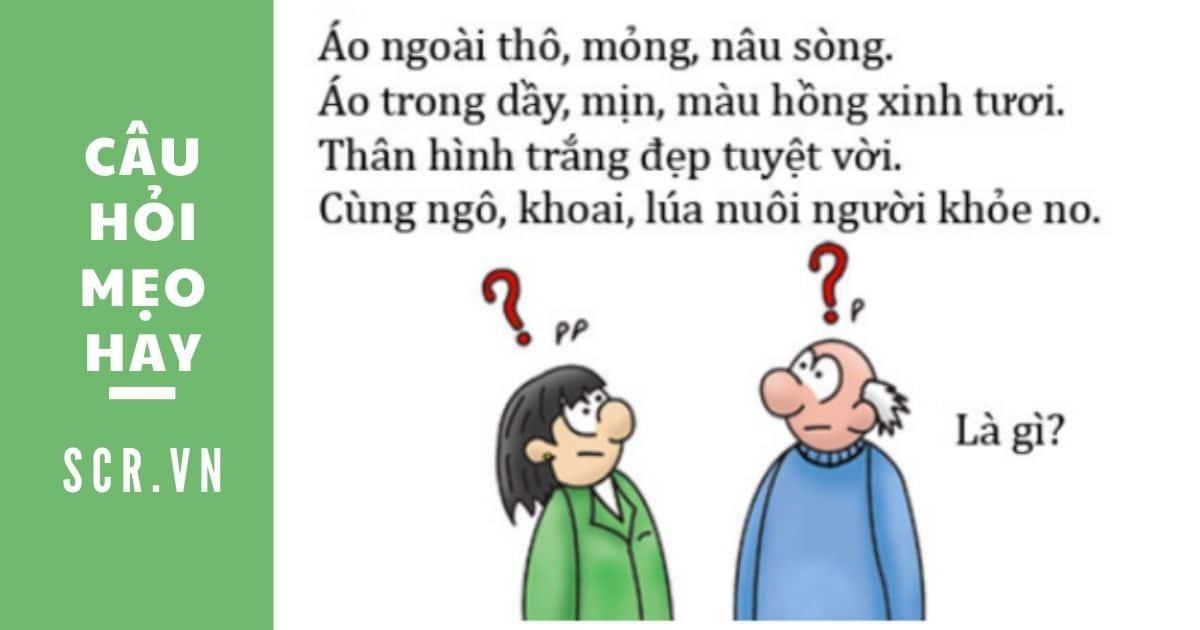 câu đố vui khó