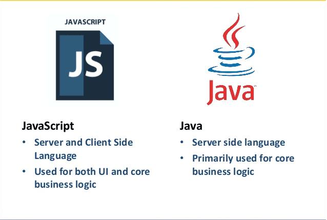 nên học Java hay Javascript