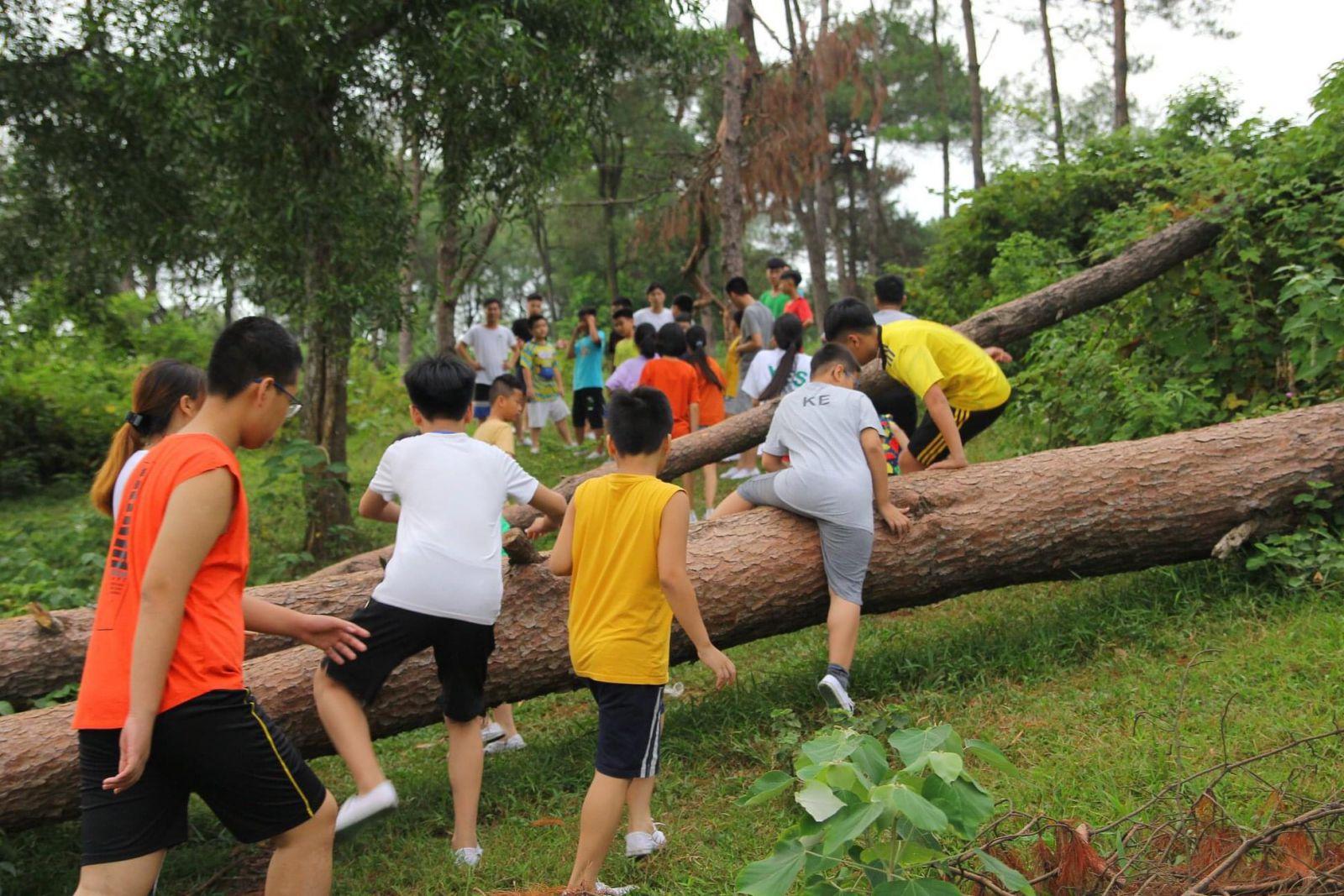 Trại hè Quân đội