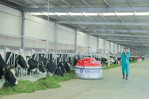 Vinamilk Dairy Farms